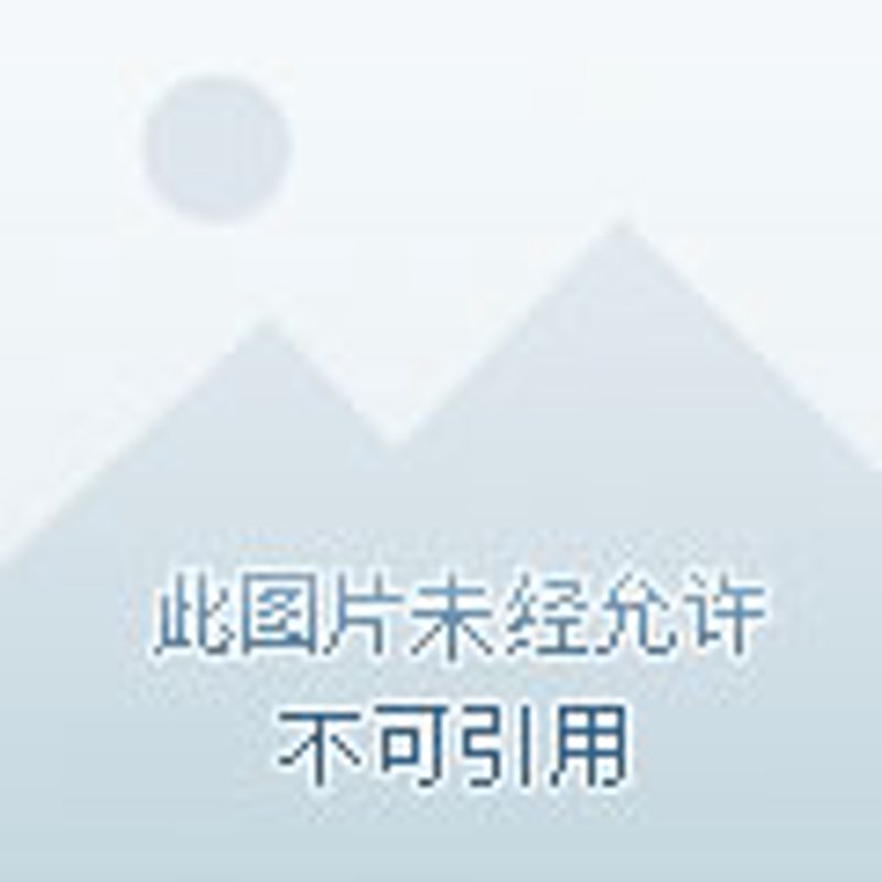 陶瓷批发仓库选哪家？规模与服务谁更重要？